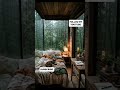 Sleeping cats while the rain softly falls outside 🌧️🐈