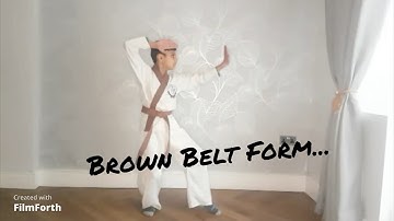 Brown Belt Form - Tang Soo Do Karate