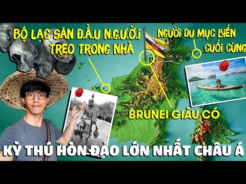 Video: Lái xe ở Borneo: Những điều bạn cần biết