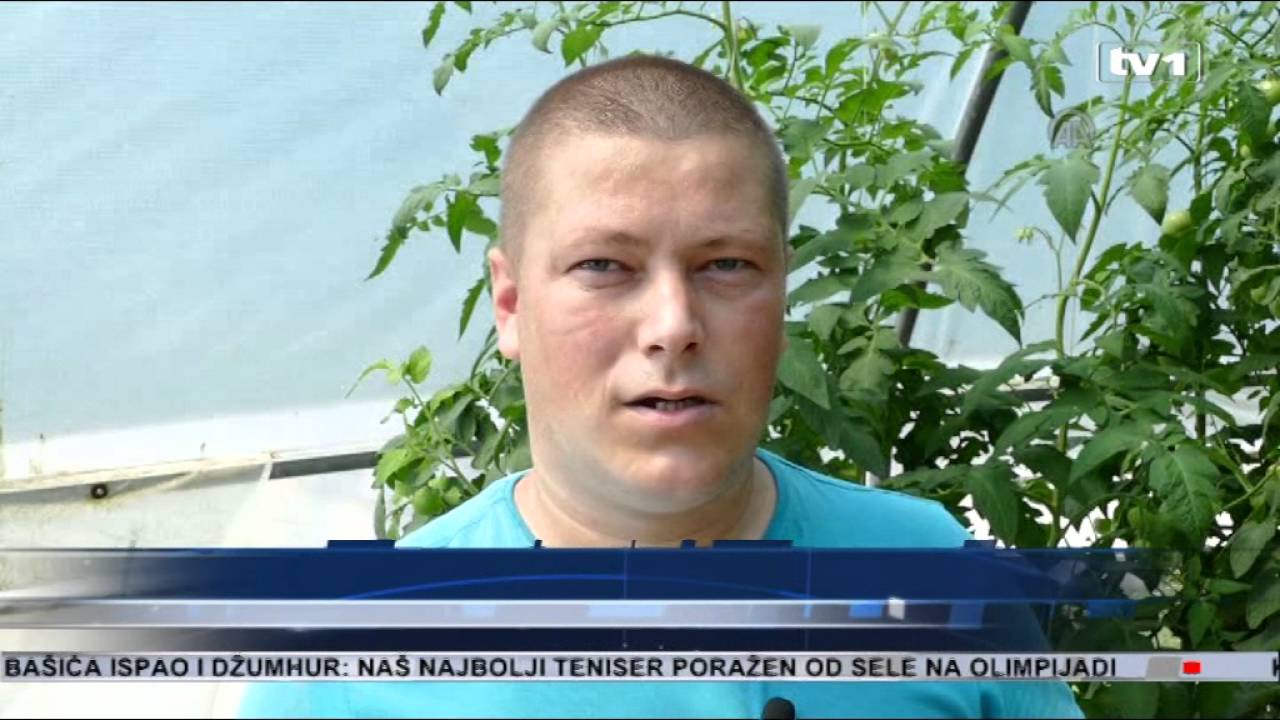 Zatvorenici u Busovači pokrenuli proizvodnju povrća u plastenicima