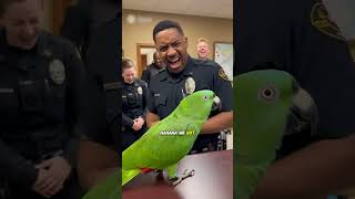 Talking Parrot Joking With The Police Chief