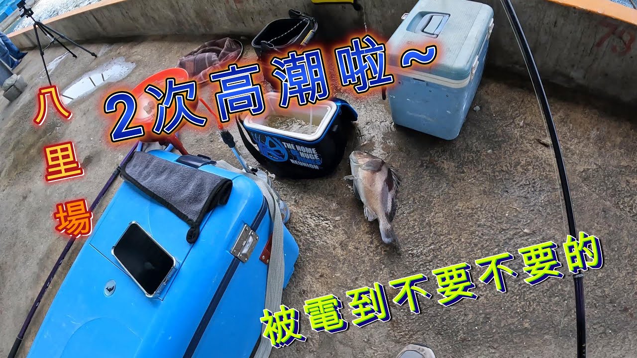 開箱 八里 高潮海釣場這下真的高潮了被魚欺負的好慘阿~