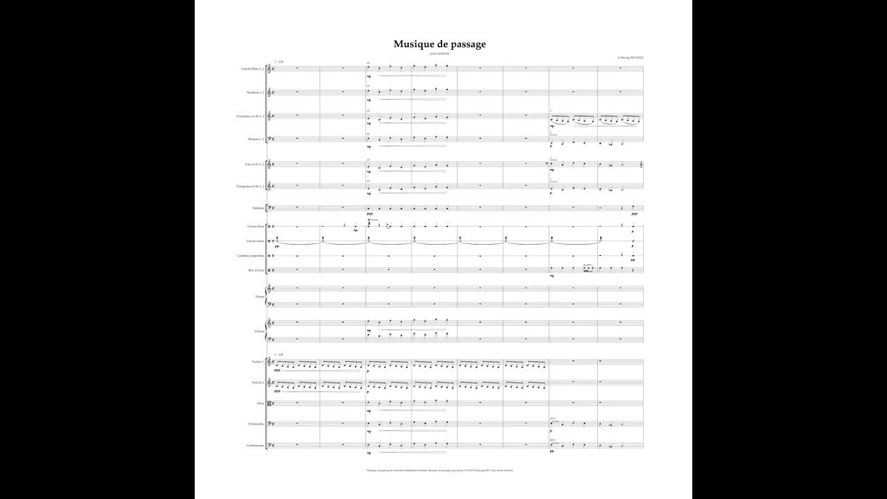 Il Woong SEO - Musique de passage for orchestra