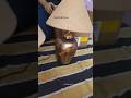 asthetic lamp 🪔#viralvideo #flipkart #asthetic #viralshorts #trending #ytshorts #trendingshorts #yt