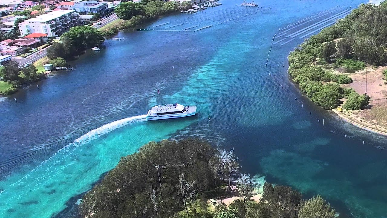 dolphin cruise forster