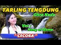 Tarling tengdung || citra Nada || Voc : Nung ul Qisma ( Cecoba )