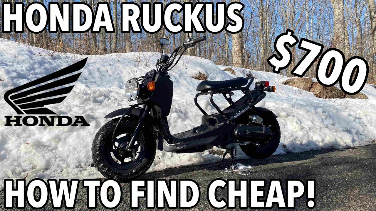 Buying the CHEAPEST HONDA RUCKUS EVER! (How to find one) YouTube