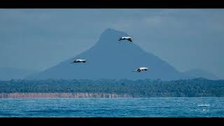 TOP 5 PRAIAS MAIS BONITAS DE PRADO-BA