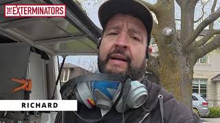Exterior Carpenter Ant Treatment That Actually Works (Toronto)
