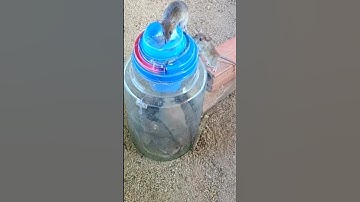 New Mouse Traps For Home / Bottle Glass Mouse Trap 2021 Part 03