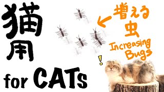 【猫用動画】閲覧注意 - 10秒毎に増える虫/【VideoForCats】VIEWER WARNING - Gradually increasing Bugs