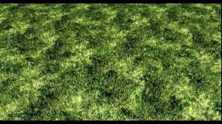ZeroOne Grass Shader Experiment Phase 2 Part 2 - Flickering