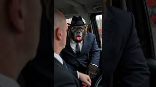 The Gorilla Who Refused to Pay! 🚖💨 #Shorts #LondonCab #BlackCab #Gorilla