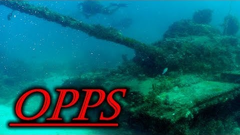 Fishy French Tanks - World Of Tanks