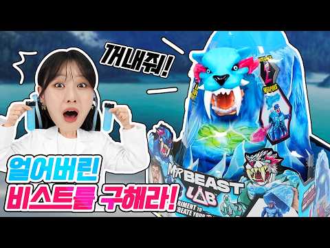 얼어버린 세계 1등 유튜버 장난감_&amp;#<strong>39</strong>;미스터비스트&amp;#<strong>39</strong>; 장난감 <strong>리뷰</strong>!