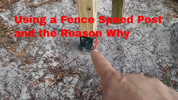 DIY / Tree Root Issues When Installing a Wood Fence
