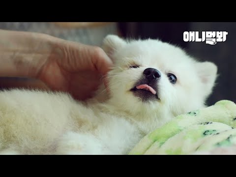 경악ㅣDevil Who Tossed Away <strong>Their</strong> <strong>dog</strong>..