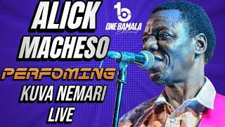 🔥 ALICK MACHESO PERFORMS KHIAMA BOYS CLASSIC “KUVA NEMARI” 🔥 | Sungura Magic Live!
