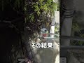 運拾い（ゴミ拾い）　#short