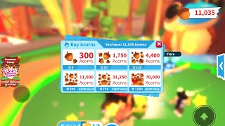 Get Acorns Fast! Adopt Me Summer Camp is Leaving