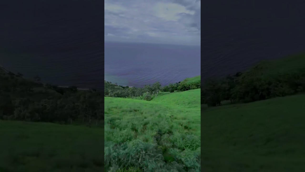Heavenly Peace on the Windy Hills 🌿 | Calm Nature Vibes | Outside The Screen