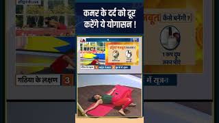 Yoga For Back Pain: कमर के दर्द को दूर करेंगे ये योगासन! #shorts #indiatvyoga #swamiramdev #backpain