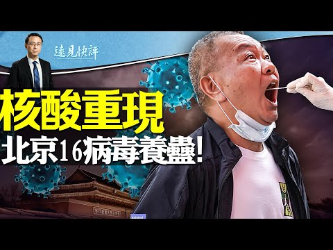 核酸重现！ 多地健康码上线！ 北京16种病毒大养蛊；中东国家私下力挺以军：干掉蛤蟆丝；互动问答