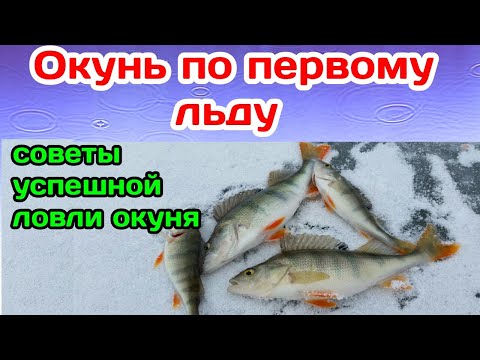 Video: Ako Variť Ryby A Zemiaky Pečené V Kyslej Smotane