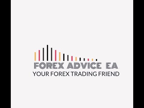 what Is a Forex Trading Robot?