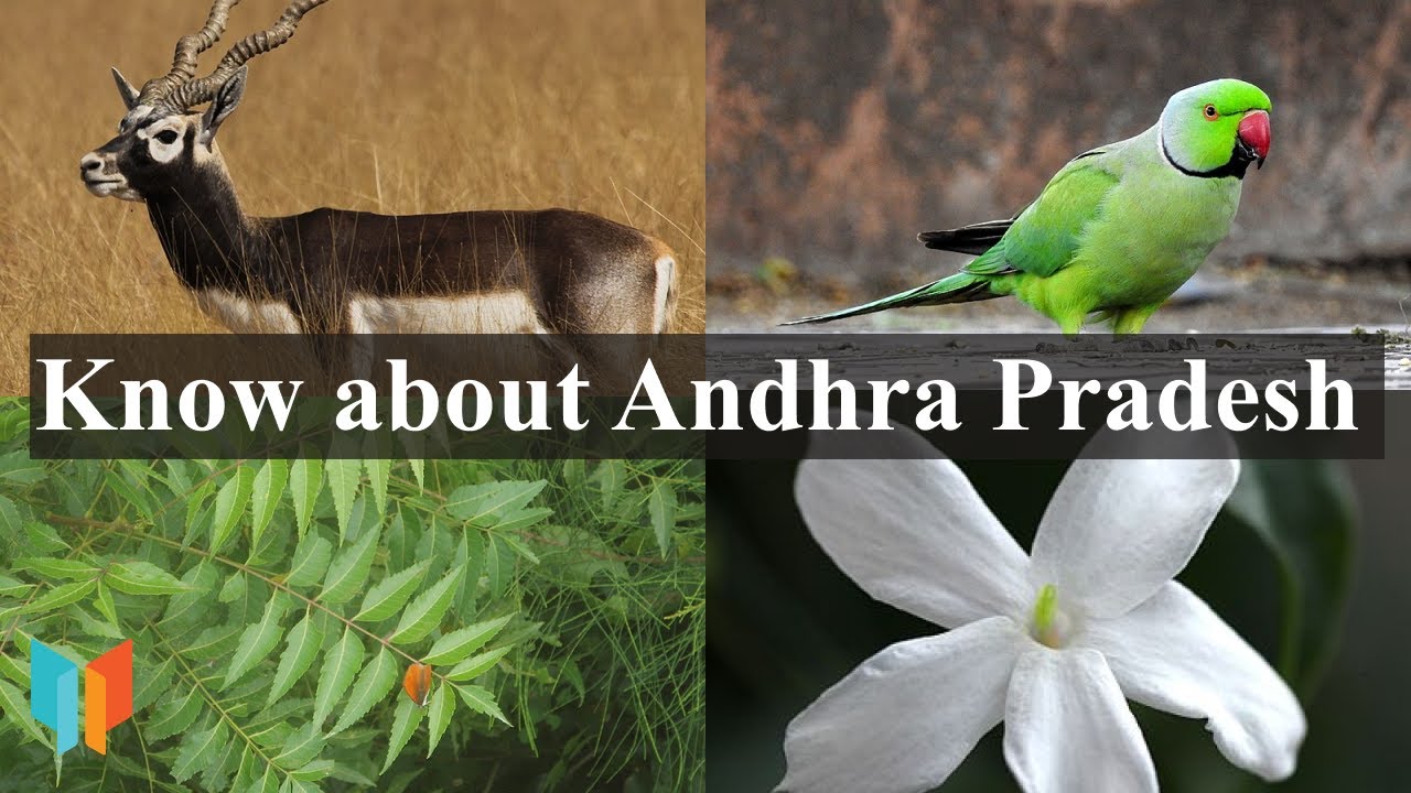Know about Andhra Pradesh |IAS | IPS | UPSC | RRB | SSC