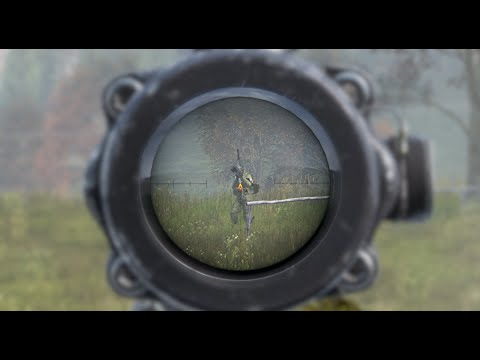 Видео: СОЛЬНЫЙ ПВП ЗАБЕГ В СУРОВОМ МИРЕ DAYZ