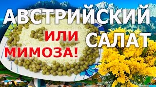 Салат АВСТРИЙСКИЙ нежный ответ салату МИМОЗА и ничего лишнего! Салат АВСТРИЙСКИЙ нежный ответ салату МИМОЗА и ничего лишнего!