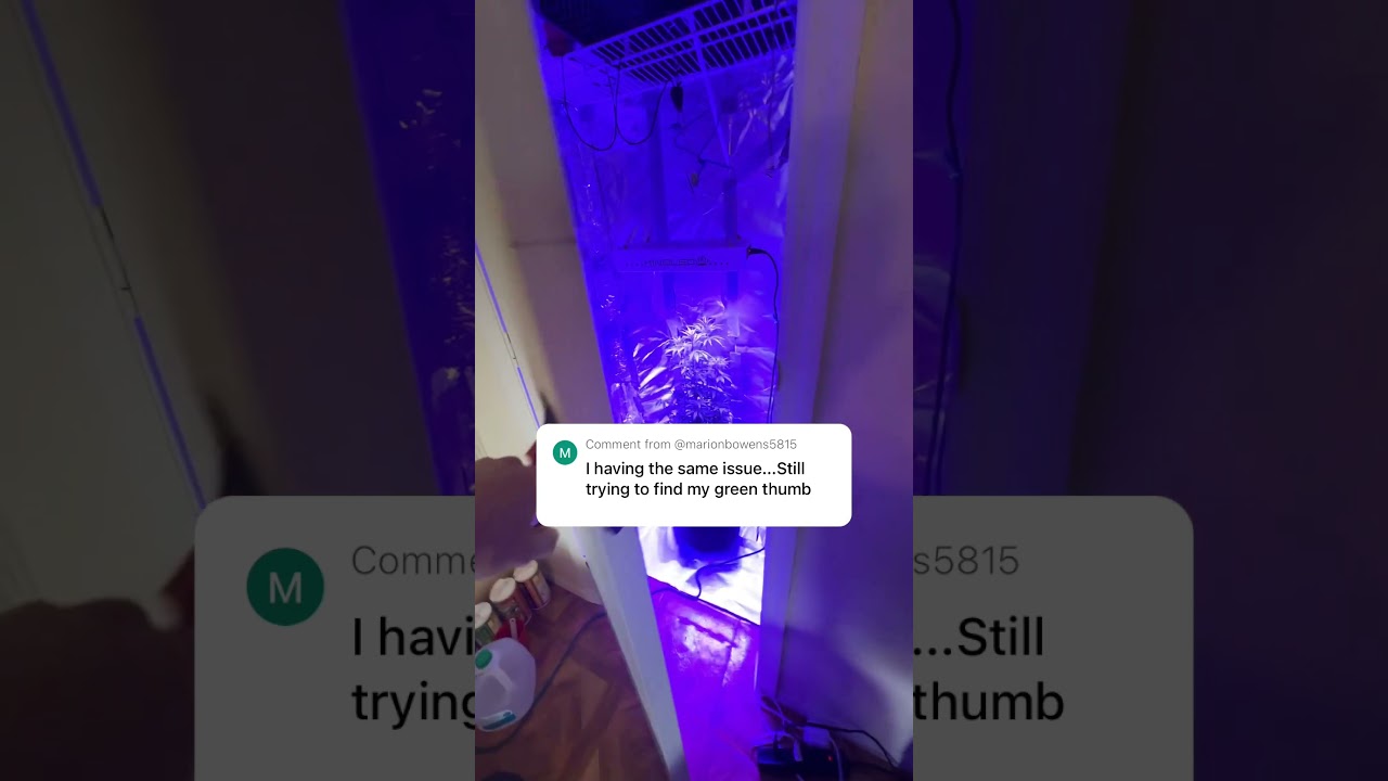 Happy frog soil and fox farm nutes work great