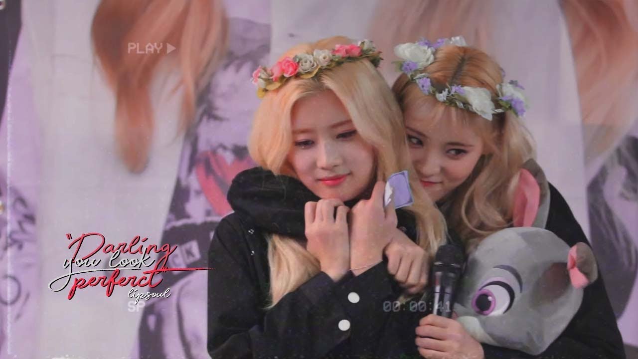 lipsoul ㅡ 'darling you look perfect' 「FMV」