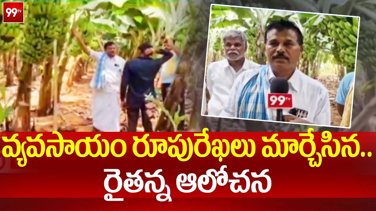 వ్యవసాయం రూపురేఖలు మార్చేసిన..రైతన్న ఆలోచన | Special Farming At Kammavaripalle | 99TV