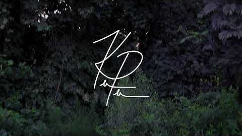 Quick Gimbal Test - Zhiyun Crane Plus