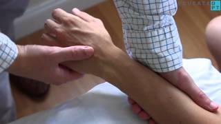 Wrist Extension With Radial Or Ulnar Deviation Mmt