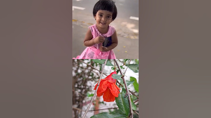 #withlovenagarajsangeetha #family #love #happy #youtubeshorts #shortsfeed#viralvideo #trendingshorts