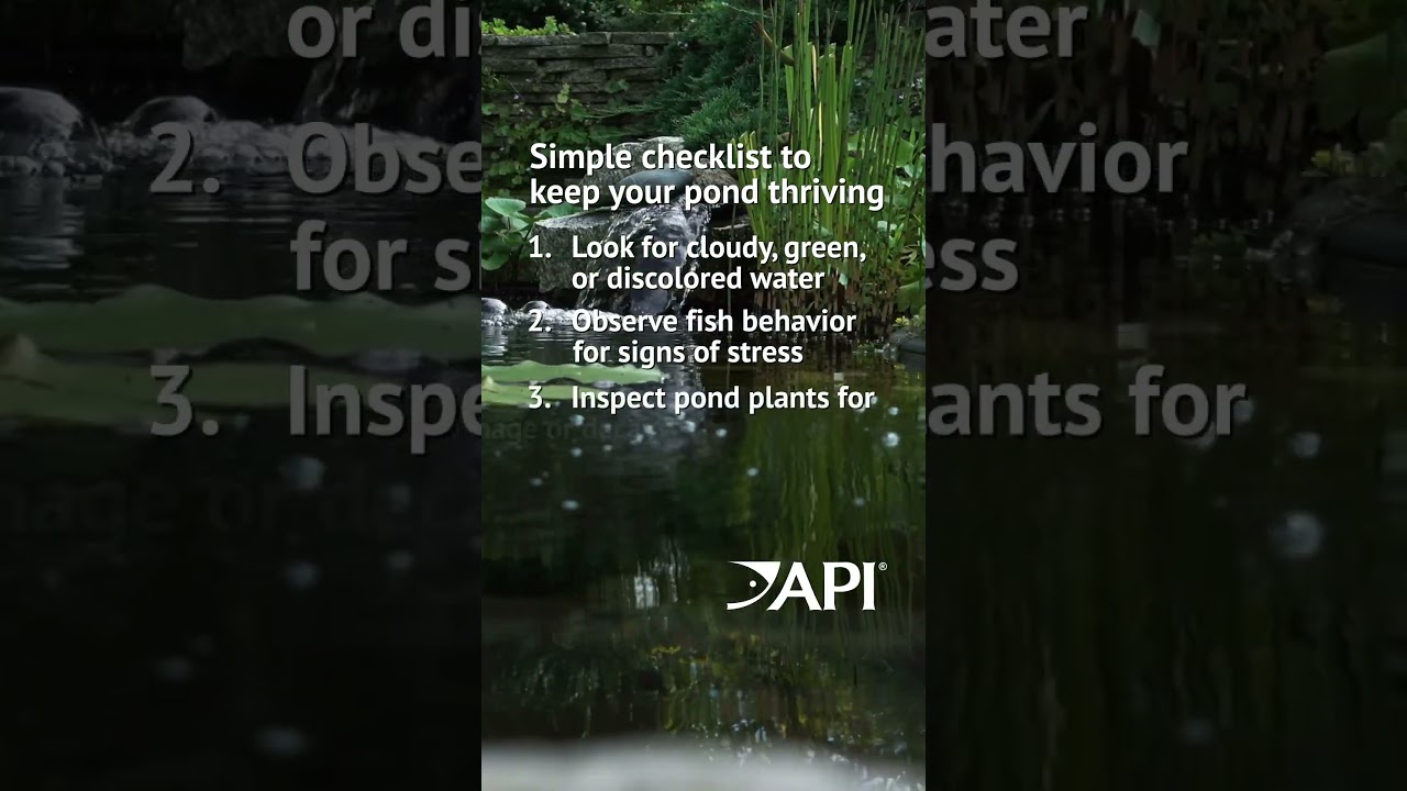Weekly Pond Care Checklist