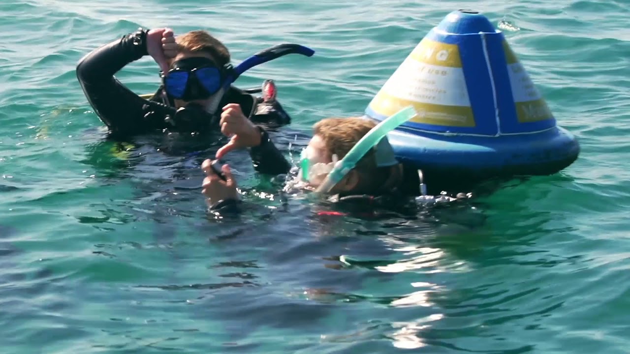 Preserve the Wonder - Rangers protecting the Reef - 15 second ...