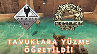 Yeni Counter Strike 2 Güncellemesi - Anubis Ve Ancient Eklendi Tavuklara Yüzme Öğretildi