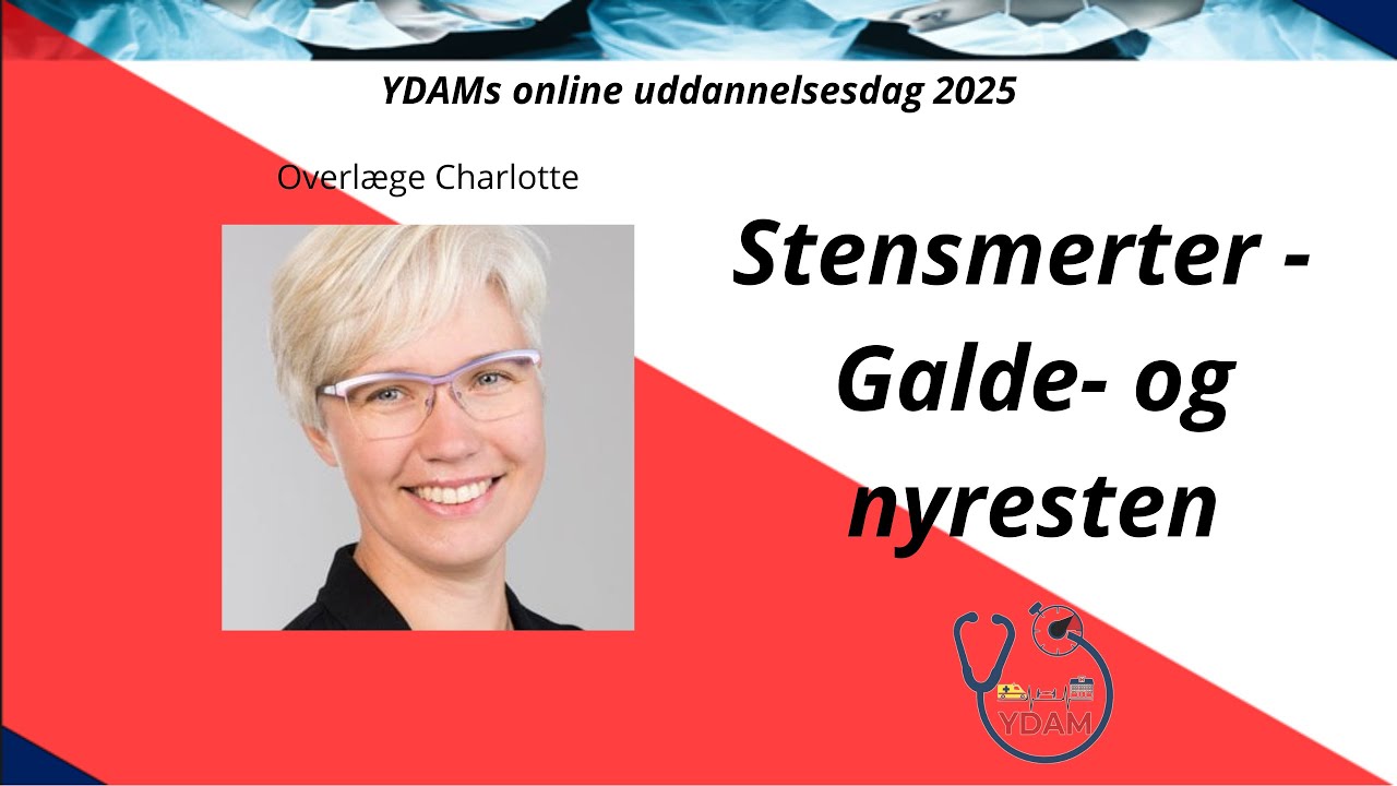 "Stensmerter - Galde- og nyresten" - Ovl. Charlotte - YDAM udd. dag 2025