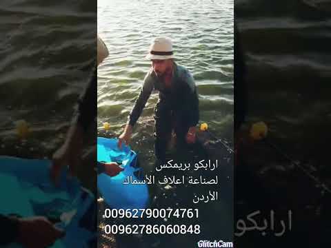 نتائج مبهرة لتربية الأسماك على اعلاف ارابكو بريمكس