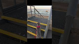 6 Miles By 630 Stans Morning Routine