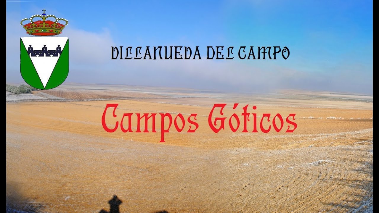 VILLANUEVA DEL CAMPO. ZAMORA