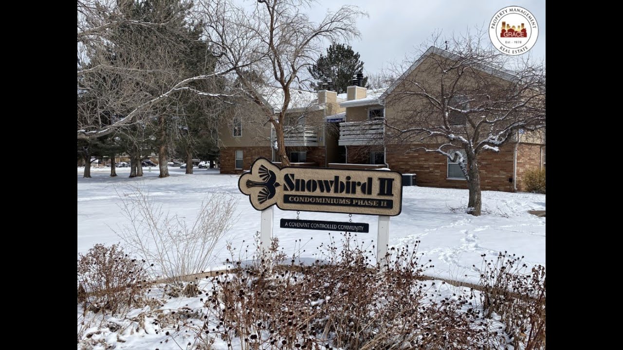 Condo for Rent in Lakewood 3318 S. Ammons St. 203 by Grace Property