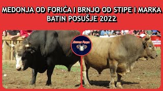 MEDONJA OD FORIĆA I BRNJO OD STIPE I MARKA BATIN POSUŠJE 2022 KORIDA