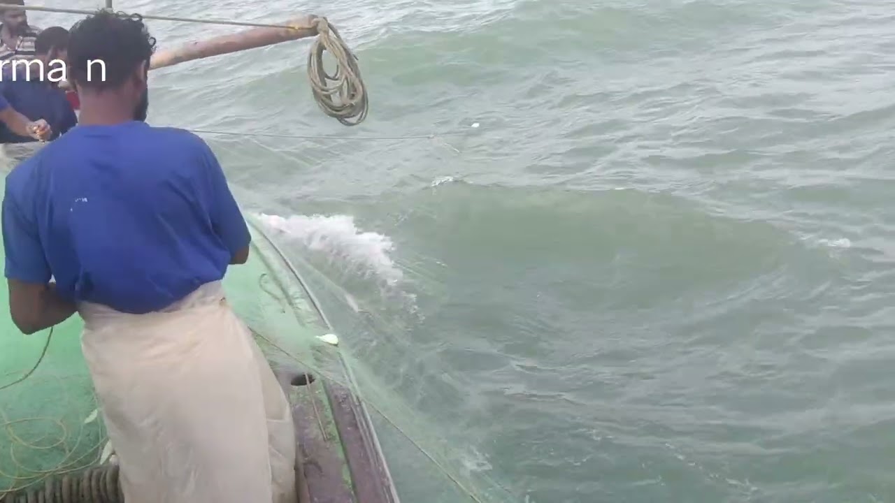 Many fish species live in the ocean, like tuna, cod, and mackerel. 🎣🐟🌊