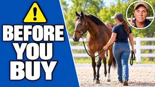 Don't Buy Your First Horse Until You Watch This!