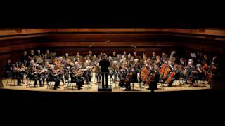 Legend of Zelda: Ocarina of Time - Hyrule Field (Morning Reprise) - Orchestra Cover